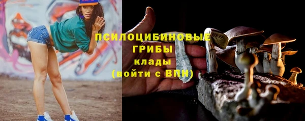 МДПВ Балахна