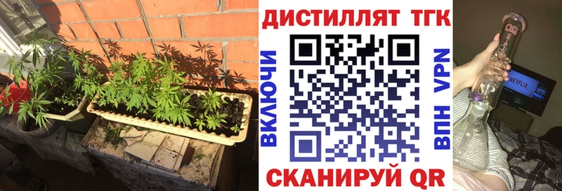 продажа наркотиков  Гаврилов Посад  Дистиллят ТГК вейп 